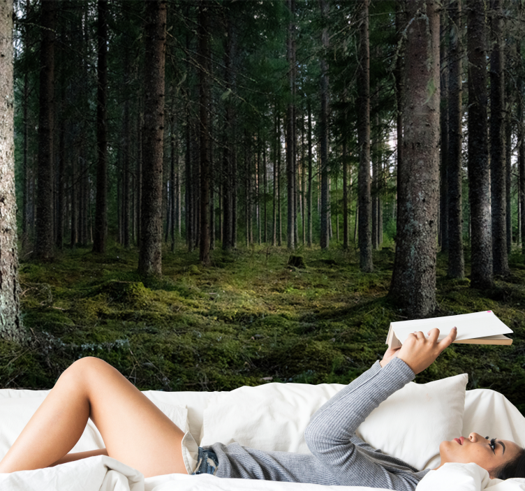 숲 벽 벽화 고요한 풍경 - TenStickers