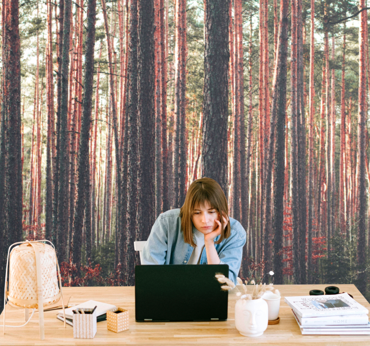 숲 벽 벽화 고요한 소나무 숲 - TenStickers