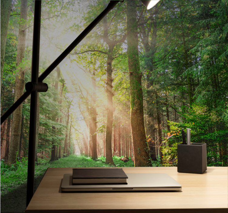 숲 벽 벽화 고요한 숲길 - TenStickers