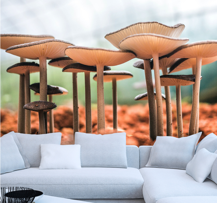 기타 벽면 벽화 버섯 군락 장면 - TenStickers