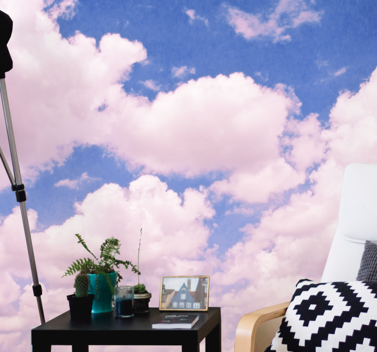 구름과 핑크 하늘 자연 벽 벽화 - TenStickers