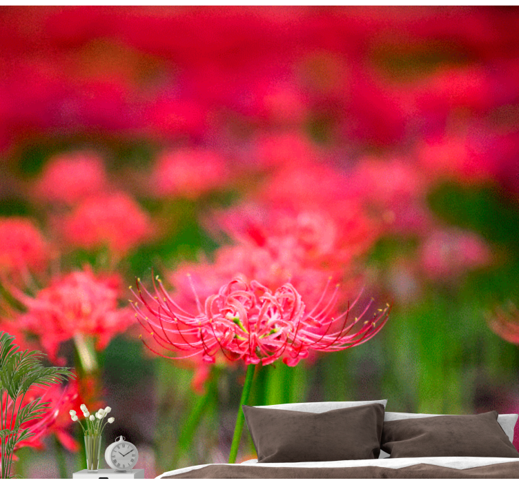 양귀비 벽 벽화 생동감 넘치는 진홍색 꽃 - TenStickers