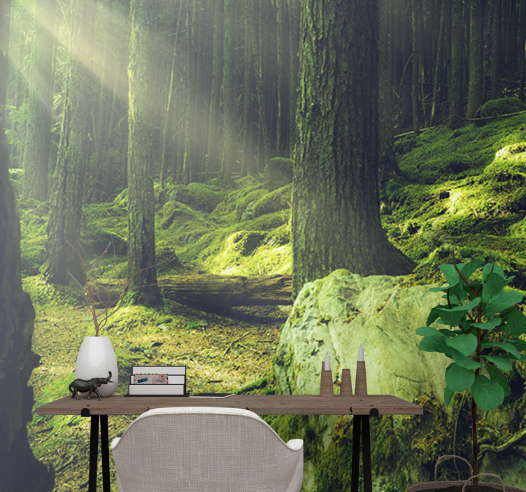 숲에 이끼가 있는 바위 자연 벽 벽화 - TenStickers