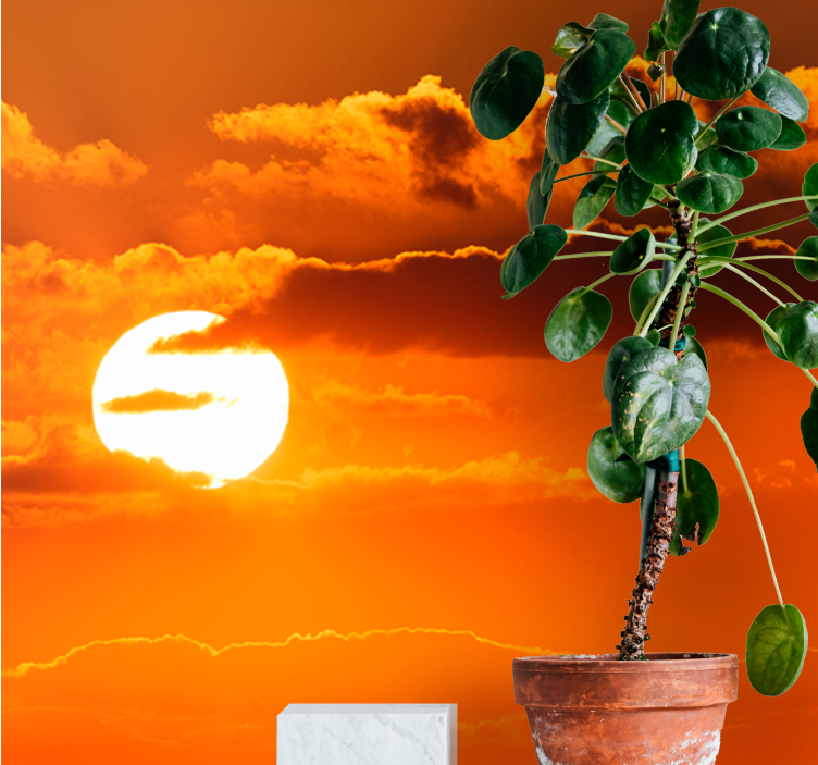 하늘 벽 벽화 구름 위의 석양 - TenStickers