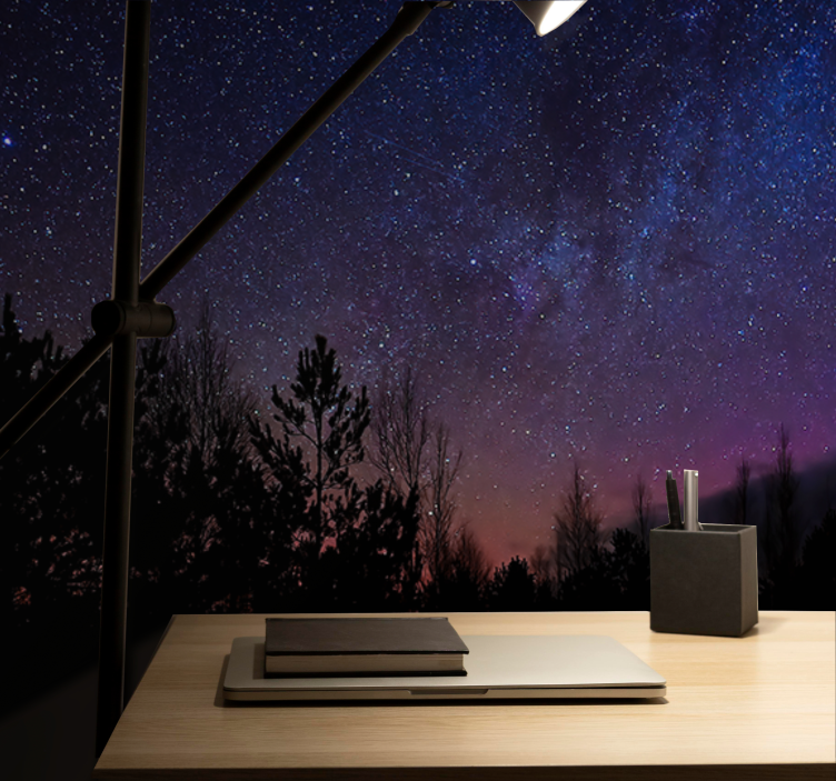 벽화 공간 천상의 저녁 캔버스 - TenStickers