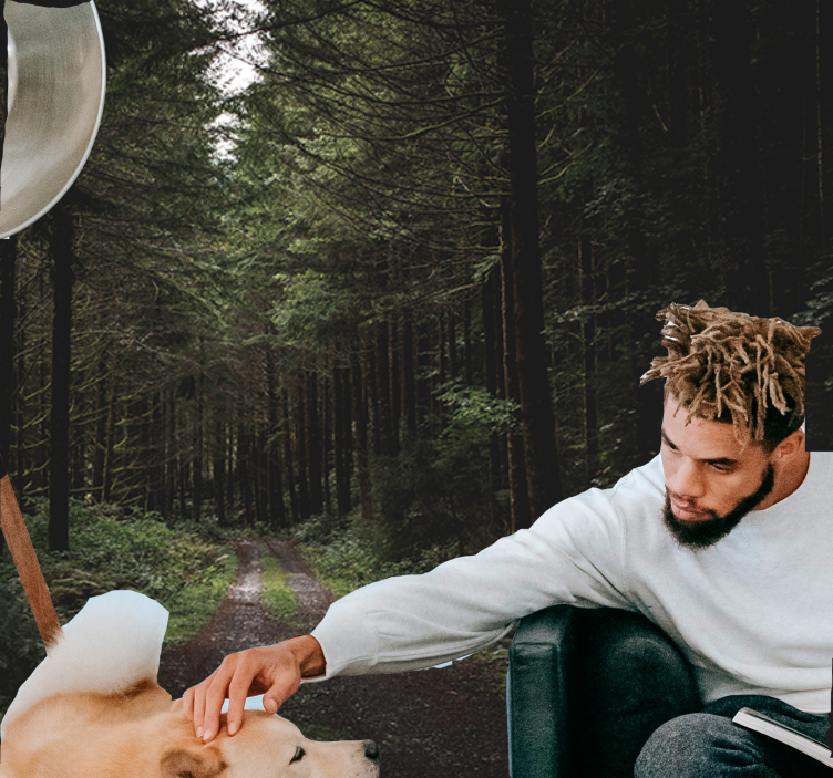 어두운 숲 벽 벽화를 통해 거리 - TenStickers