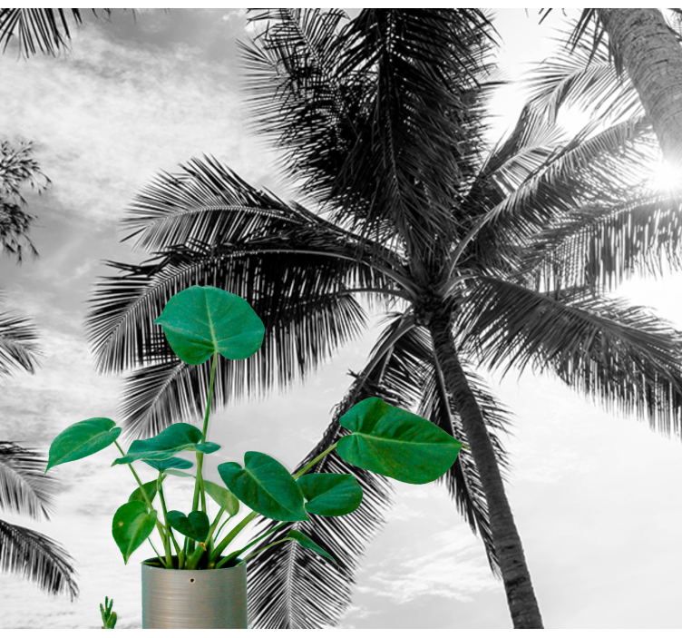 벽화 바다 열대야자 풍경 - TenStickers