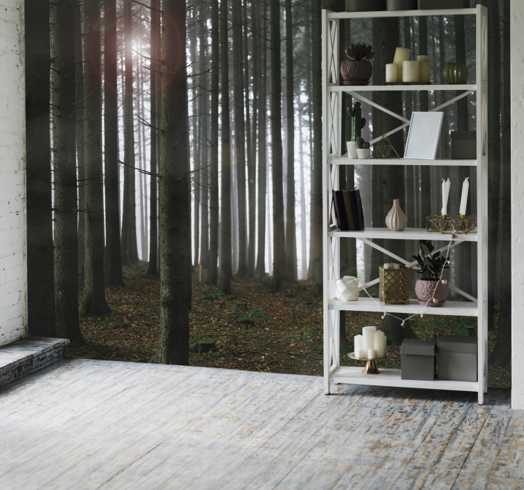 거실 벽 벽화 안개 낀 숲 장면 - TenStickers