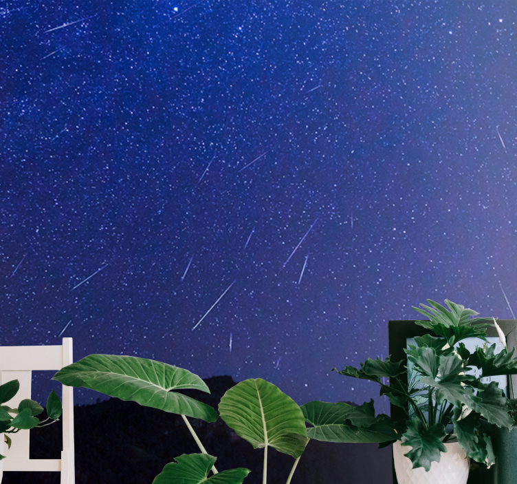 산 벽 벽화 천상의 혜성의 밤 - TenStickers