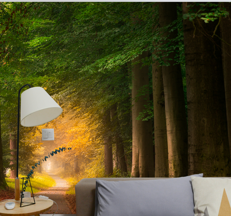 포토 뮤럴 자연 숲 속 길 풍경 - TenStickers