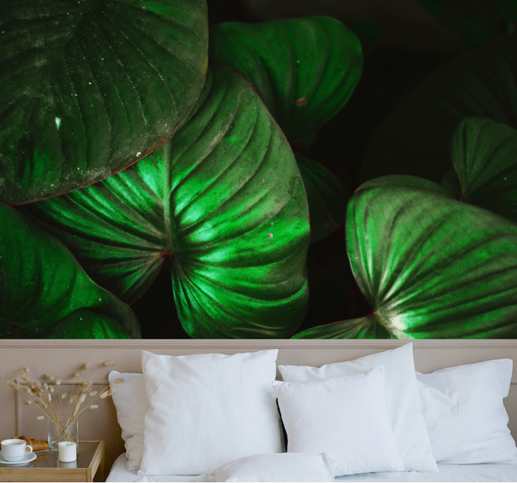 포토 뮤럴 자연 생기 넘치는 녹색 잎사귀 - TenStickers