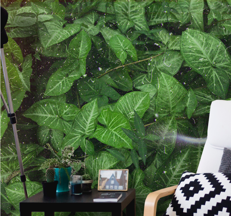 포토 뮤럴 자연 생동감 넘치는 잎사귀 구성 - TenStickers