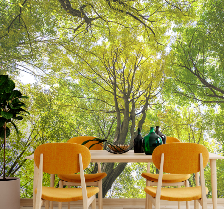 포토 뮤럴 자연 울창한 숲의 캐노피 - TenStickers