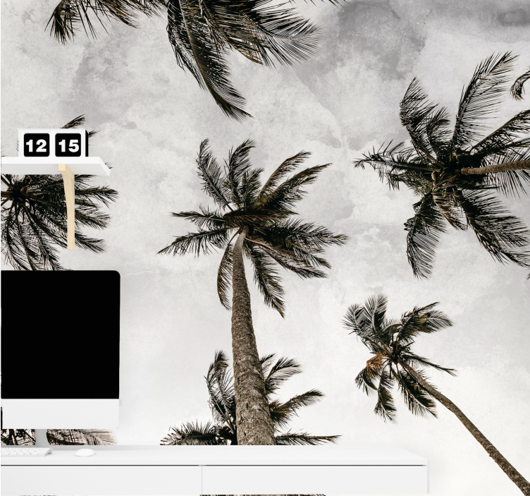 포토 뮤럴 자연 야자수 캐노피 - TenStickers