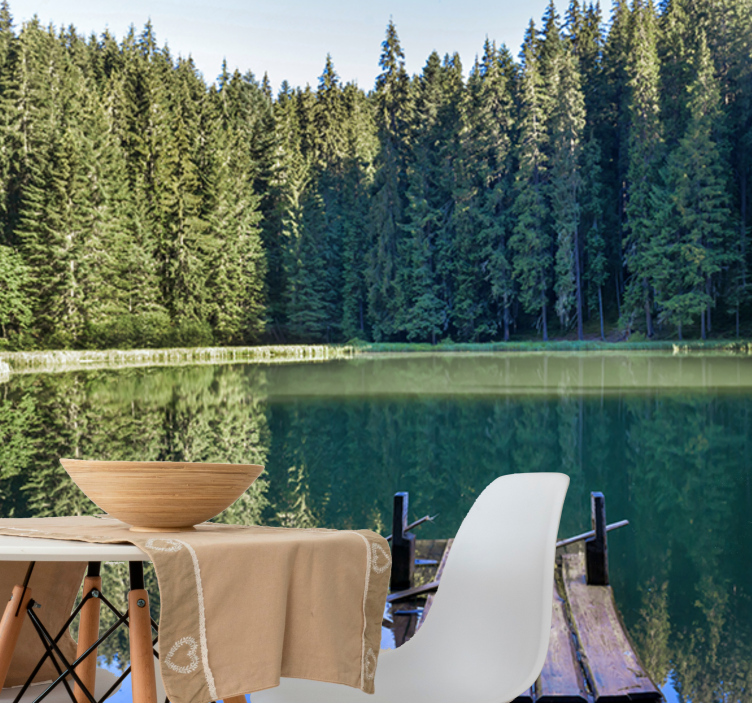 포토 뮤럴 자연 고요한 숲의 반영 - TenStickers