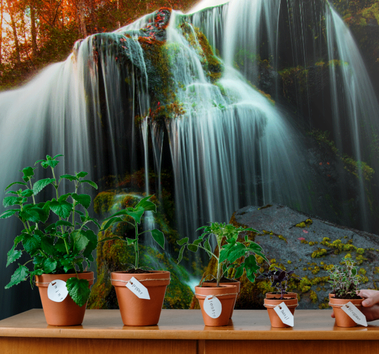 폭포가 있는 벽화 부드러운 물줄기 - TenStickers