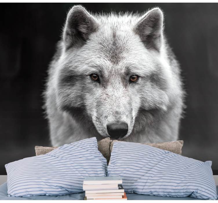 흰 늑대 벽 사진 벽화 - TenStickers