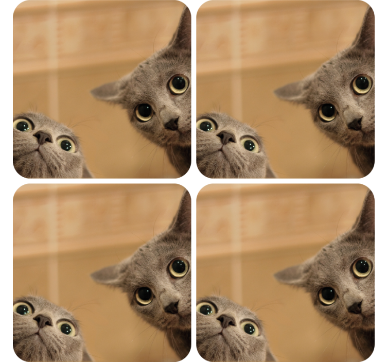 기발한 컵 받침 호기심 많은 고양이 얼굴 - TenStickers