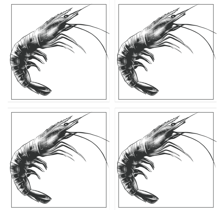 아름다운 손으로 그린 새우 생선 코스터 - TenStickers
