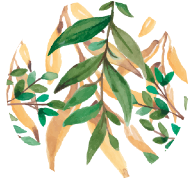 맥주 매트 컵 받침 잎이 무성한 식물 디자인 - TenStickers