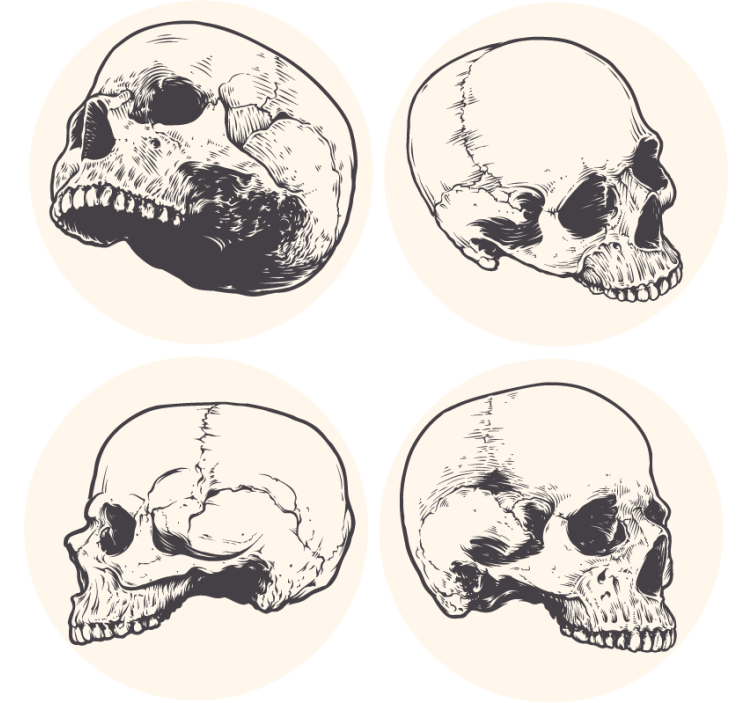 해골 그리기 할로윈 코스터 - TenStickers
