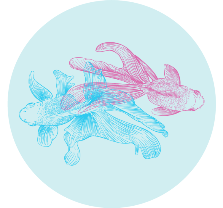 기발한 컵 받침 이중 색상의 물고기 일러스트 - TenStickers