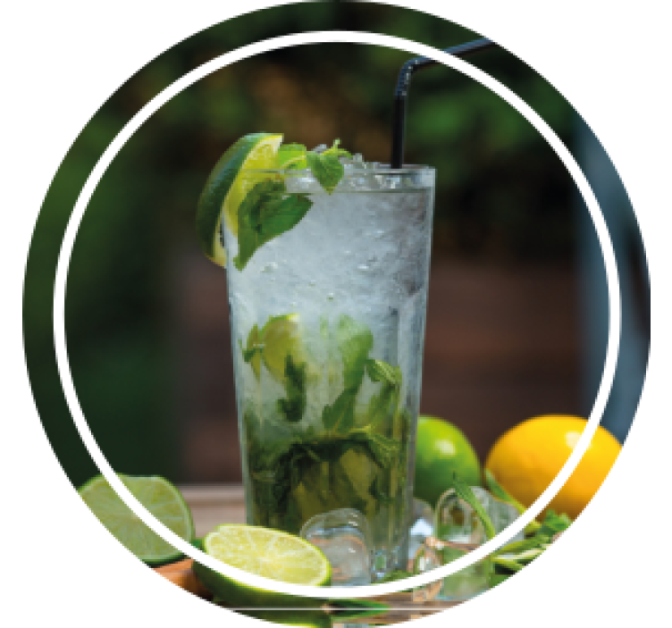 모던 포스트 분지 상쾌한 민트 음료 - TenStickers