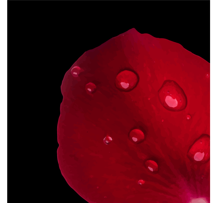 텍스처 효과 텀블러 이슬 맺힌 장미꽃잎 - TenStickers