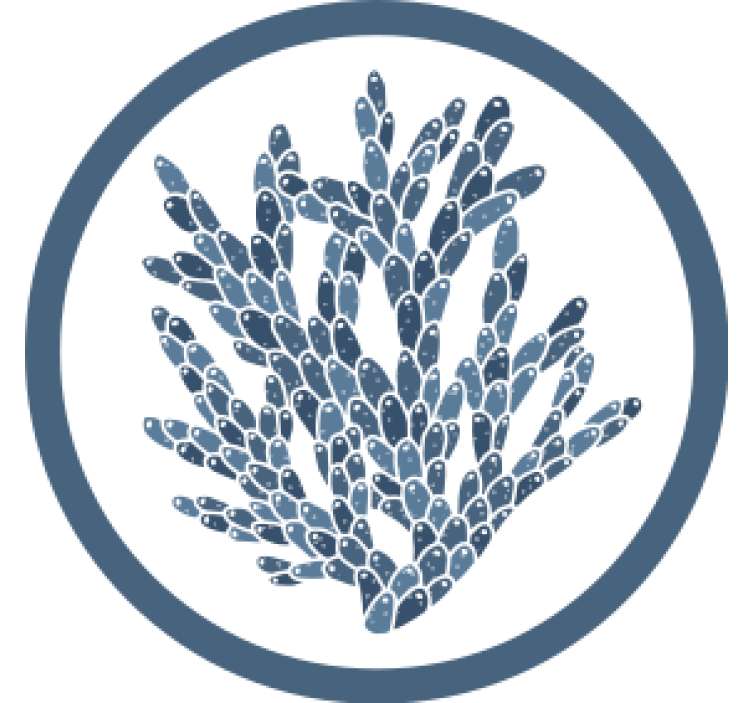 텍스처 효과 텀블러 추상 산호 패턴 - TenStickers