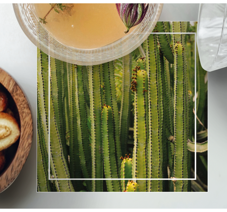 사막 식물과 선인장 질감 코스터 - TenStickers