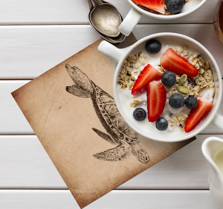 거북이 그림 빈티지 코스터 - TenStickers