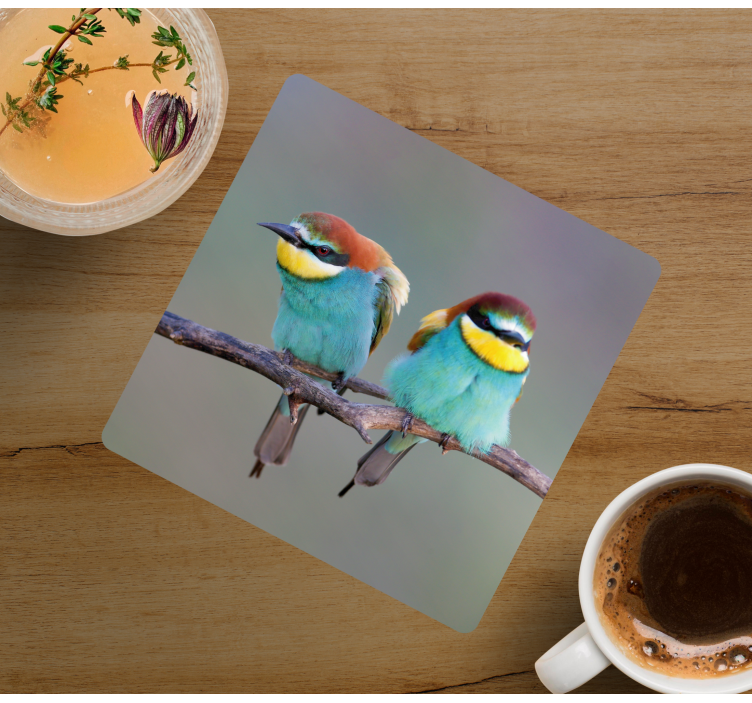 두 개의 파란색 새 현대 코스터 - TenStickers