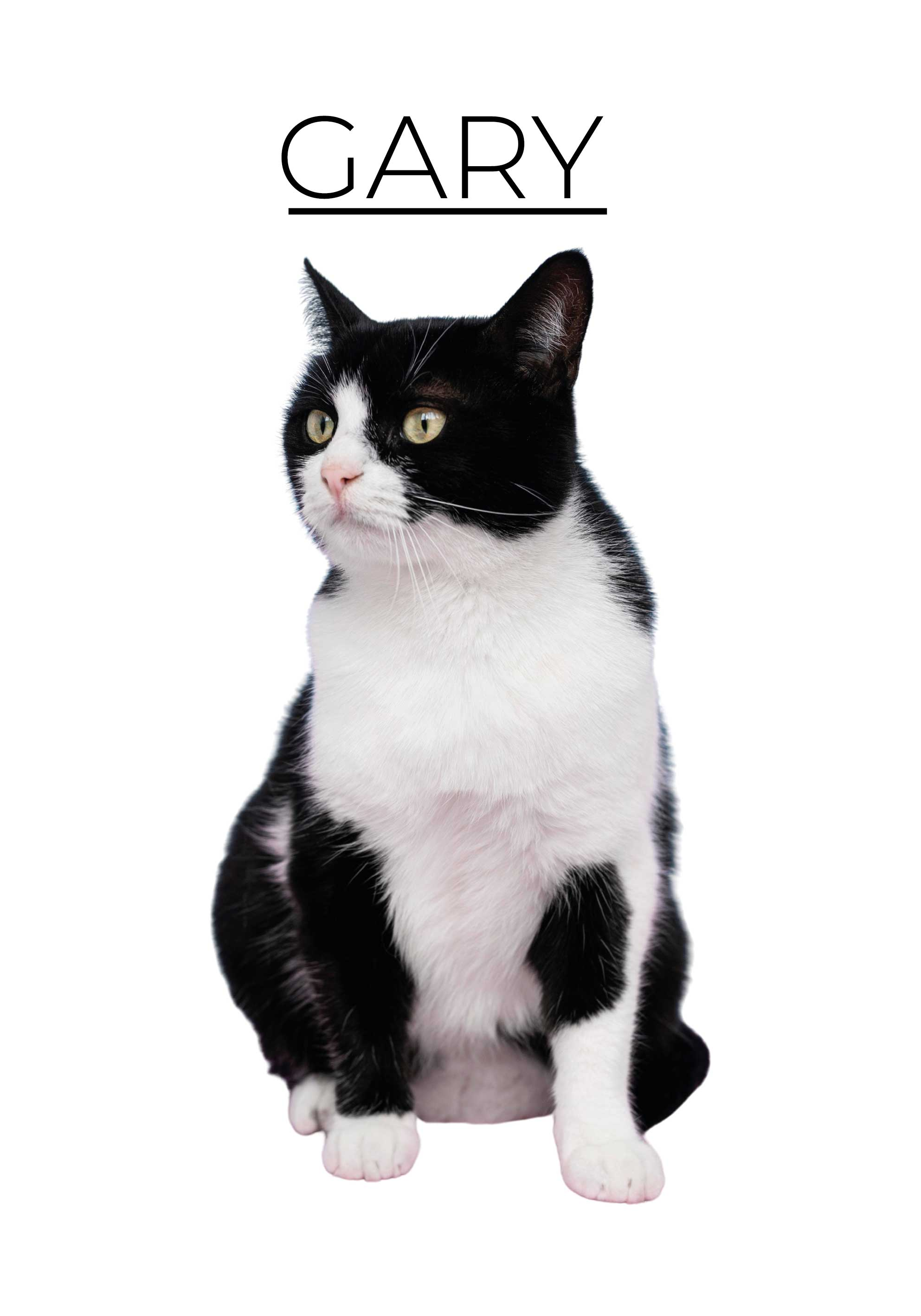 다른 동물이 있는 포스터 맞춤형 미니멀리스트 - TenStickers