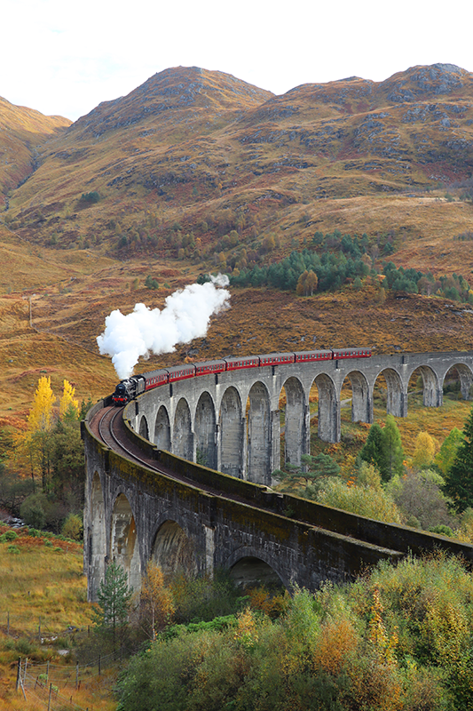 현실적인 사진 포스터 움직이는 기차 - TenStickers