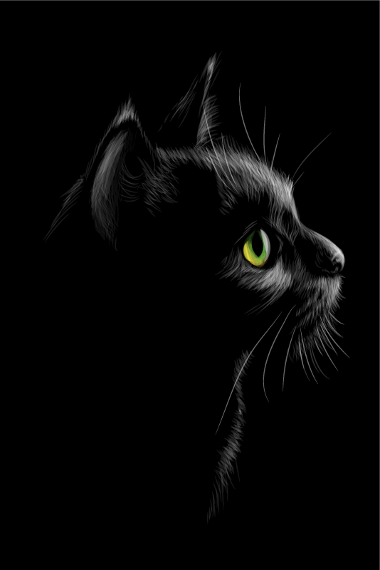 거실용 포스터 침실 초록 눈을 가진 고양이 - TenStickers