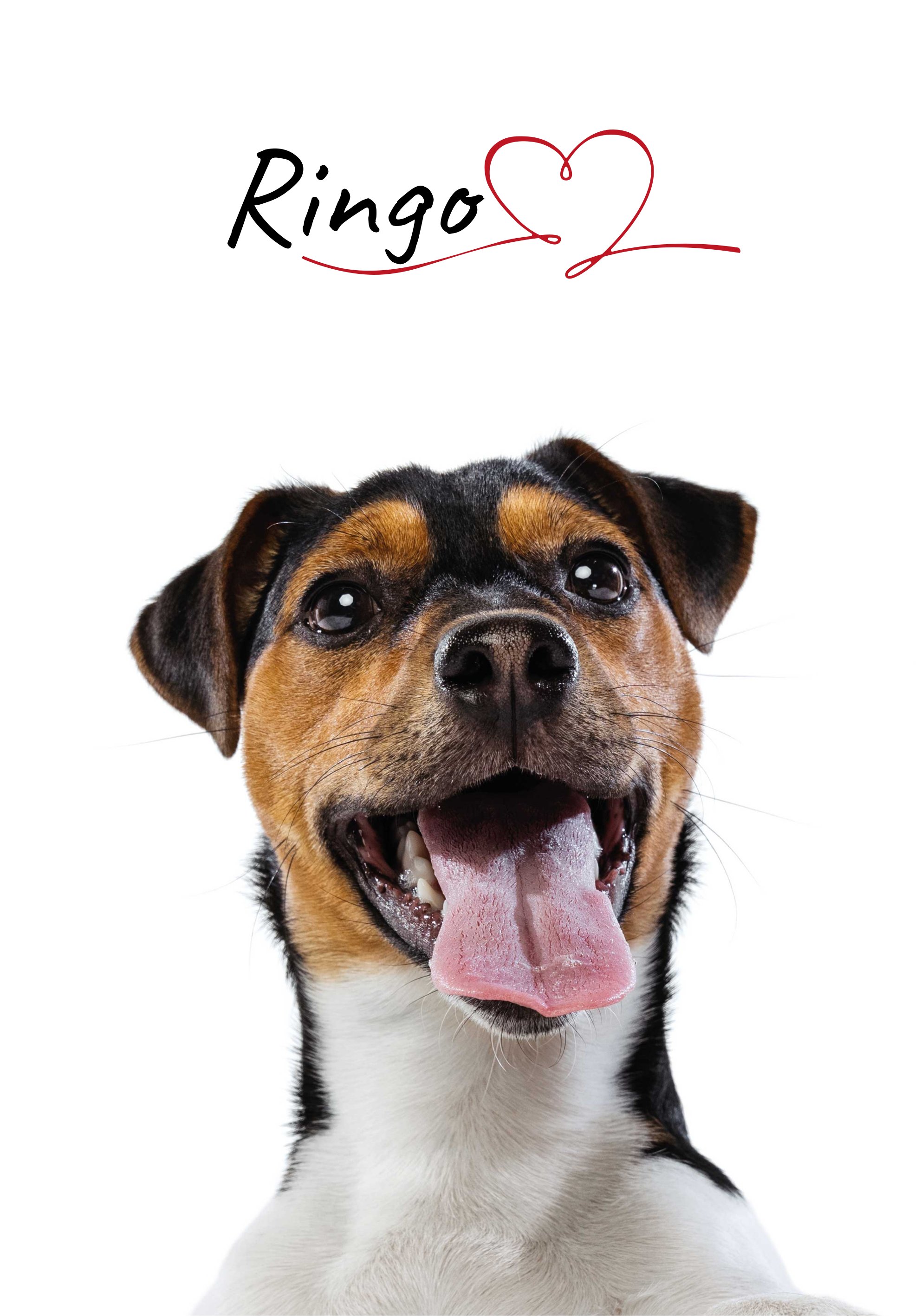 벽에 대한 맞춤형 개 사랑 포스터 - TenStickers