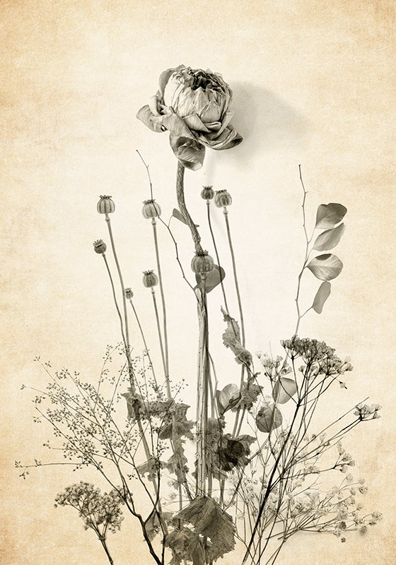 꽃이 있는 포스터 베이지색 바탕에 꽃다발 - TenStickers