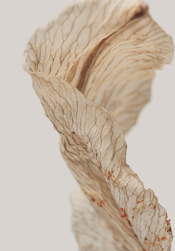 미니멀리스트 포스터 잎의 매크로 사진 - TenStickers