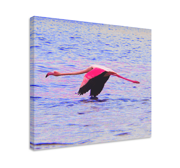 물고기 모티브 상자 플라밍고 비행 중 - TenStickers