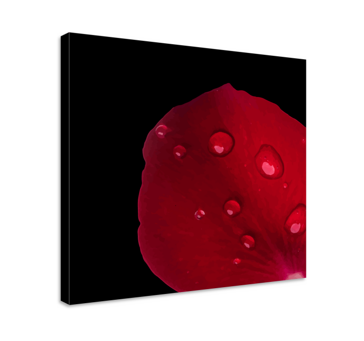 꽃과 식물이 있는 그림 장미꽃잎 디테일 - TenStickers