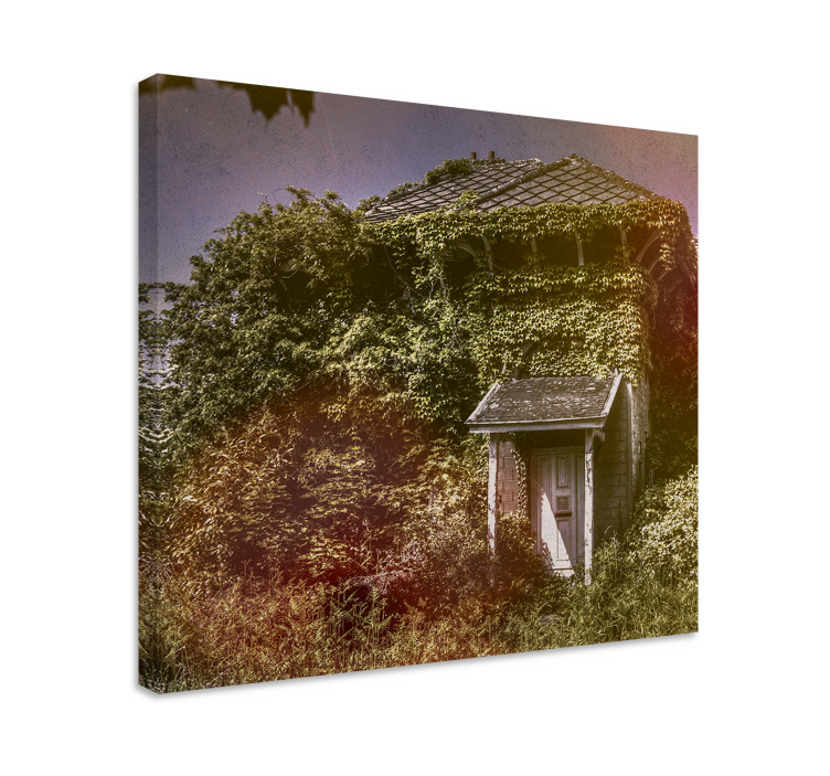 레드넥이 있는 사진 폐허의 시골 오두막 - TenStickers