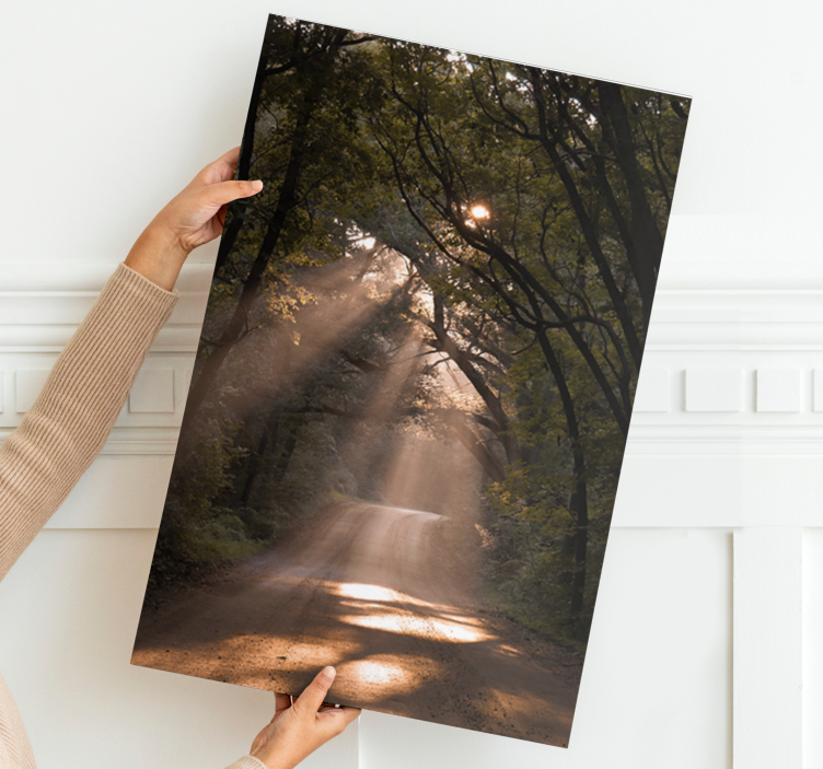 풍경화 햇살 가득한 숲길 - TenStickers