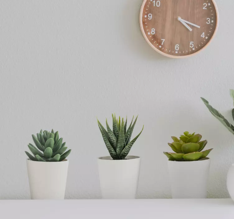 3d 선인장 냄비 벽 벽화 스티커 - TenStickers