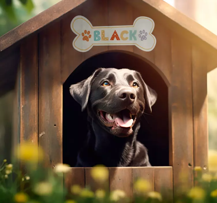 애완 동물 벽 스티커 개 집 이름 - TenStickers