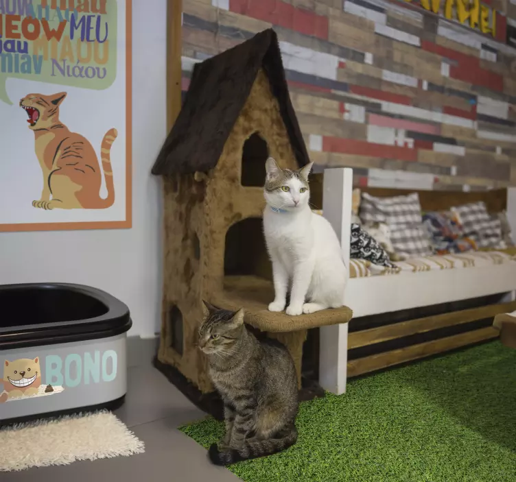 고양이 및 개 벽 스티커 고양이 배변 통 이름 - TenStickers