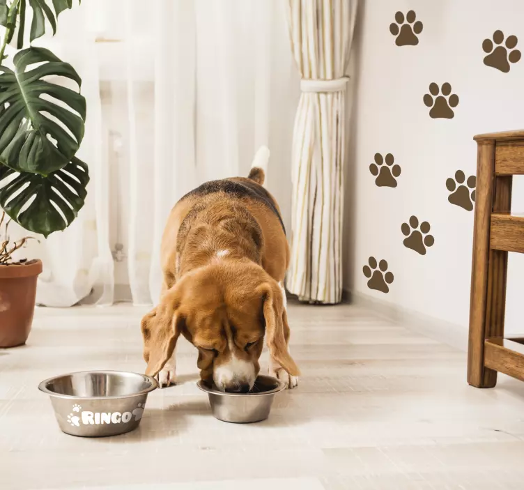 개 이름 사용자 정의 스티커 - TenStickers