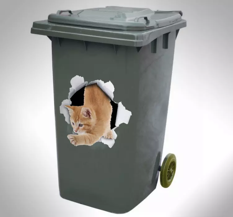 고양이 트롬 프 로일 컨테이너 데칼 - TenStickers