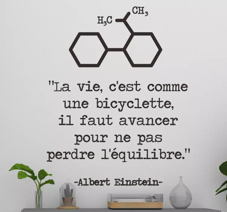 인용 알버트 아인슈타인 동기 부여 데칼 - TenStickers