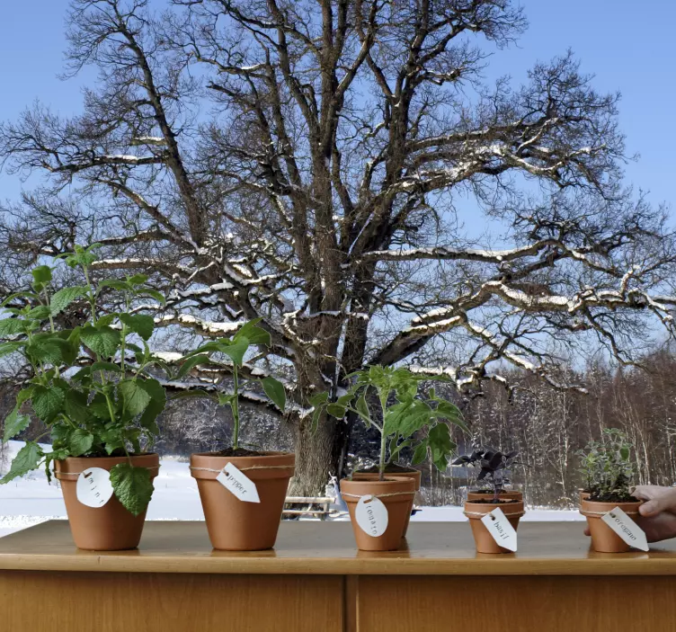 겨울 나무 벽 벽화 - TenStickers