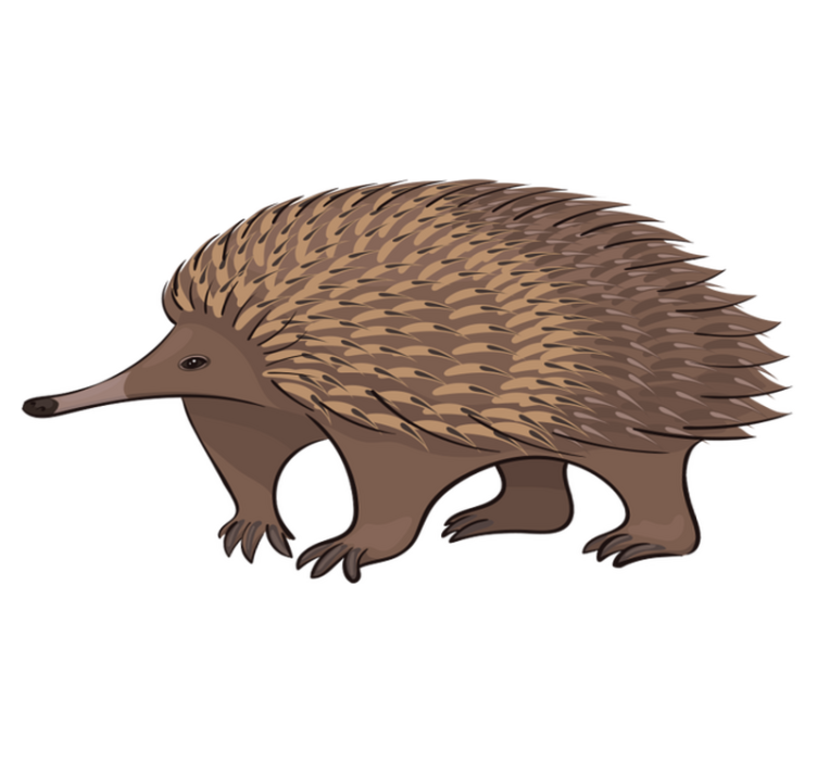 비닐 카펫 동물 친근한 고슴도치 캐릭터 - TenStickers